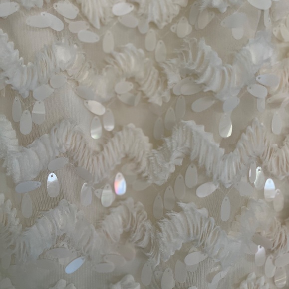 Anthropologie BLUE TASSEL Ivory semi sheer ab sequined top with camisole. Medium - Picture 2 of 5